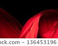 Red Cotton fabric flying in curve shape, Piece of textile Red cotton fabric throw fall in air. Black background isolated, dark shading environment 136453196