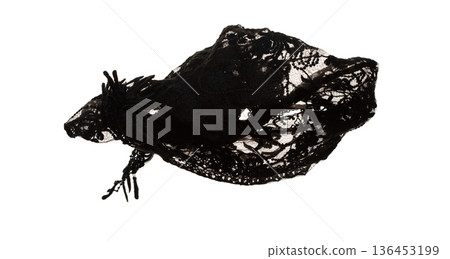 Black lace fabric flying in curve shape, Piece of textile black lace fabric throw fall in air. White background isolated, dark shading environment 136453199