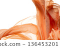 Orange organza fabric flying in curve shape, Piece of textile orange organza fabric throw fall in air. White background isolated, dark shading environment 136453201
