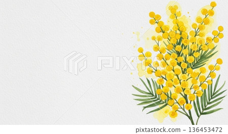 Cute watercolor mimosa flower illustration | Spring Appreciation/International Women's Day 136453472