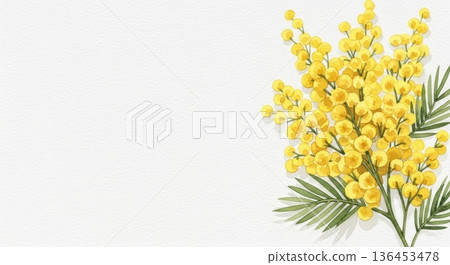 Cute watercolor mimosa flower illustration | Spring Appreciation/International Women's Day 136453478