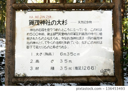 【神聖的賀茂神社大杉樹資訊牌,由山武市指定的天然紀念物】 【神聖的賀茂神社大杉樹資訊牌,由山武市指定的天然紀念物】 136453493