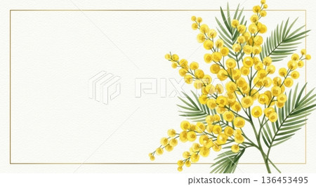 可愛的水彩含羞草花插畫 | 春日感恩/國際婦女節 136453495