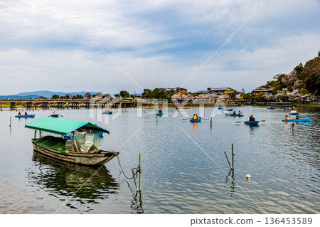 京都府嵐山公園的櫻花美景 136453589