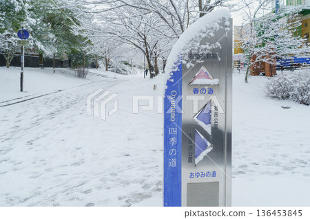【千葉市，千葉縣】大弓野四季之路：白雪皚皚的“春之路” 136453845