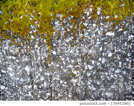 Aged moss and stone background material Aged moss and stone background material 136453901