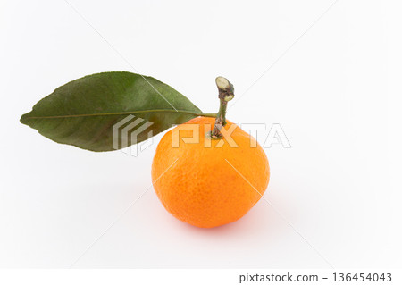 白色背景上的一個橙子,帶有一片葉子 白色背景上的一個橙子,帶有一片葉子 136454043