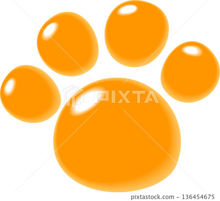 橙色小狗的毛茸茸的腳印 橙色小狗的毛茸茸的腳印 136454675