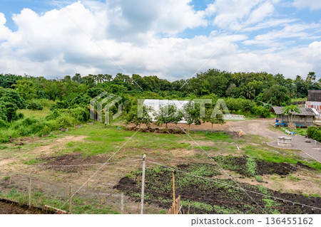 Greenhouse for organic vegetables. The thatched roof will keep out bugs. 136455162