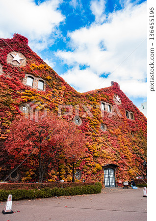 Sapporo Factory and autumn leaves in autumn, Sapporo, Hokkaido 136455196
