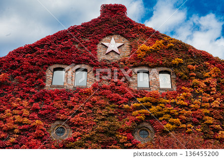 Sapporo Factory and autumn leaves in autumn, Sapporo, Hokkaido Sapporo Factory and autumn leaves in autumn, Sapporo, Hokkaido 136455200