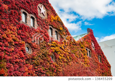 Sapporo Factory and autumn leaves in autumn, Sapporo, Hokkaido Sapporo Factory and autumn leaves in autumn, Sapporo, Hokkaido 136455209