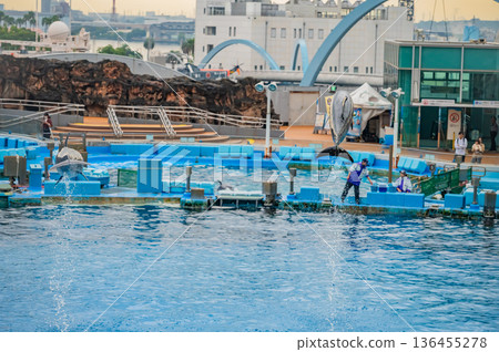 名古屋港水族館,愛知縣名古屋市 名古屋港水族館,愛知縣名古屋市 136455278