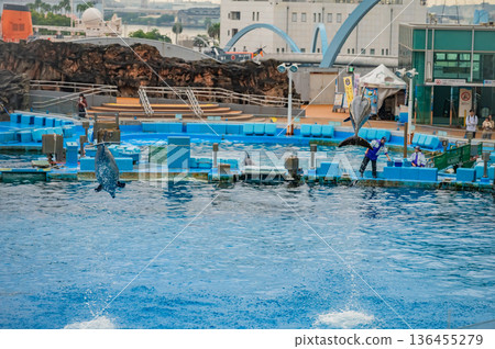 Nagoya Port Aquarium, Nagoya City, Aichi Prefecture 136455279