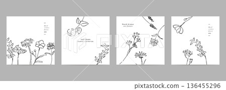 Botanical vector illustration set. Monochrome botanical design templates. Postcard design set. Botanical vector illustration set. Monochrome botanical design templates. Postcard design set. 136455296