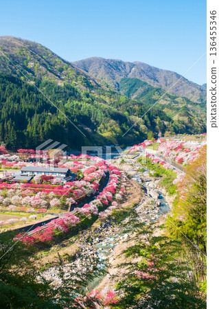 Hanamo no Sato 136455346