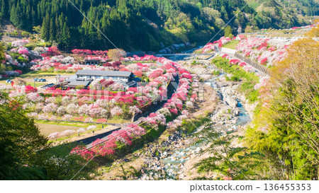 Hanamo no Sato Hanamo no Sato 136455353