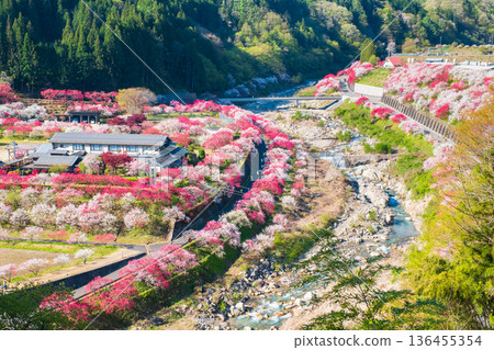 Hanamo no Sato 136455354