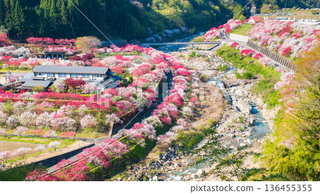 Hanamo no Sato 136455355