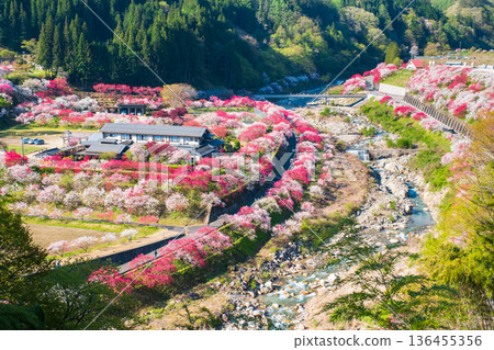 Hanamo no Sato 136455356