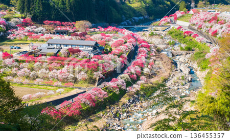 Hanamo no Sato Hanamo no Sato 136455357