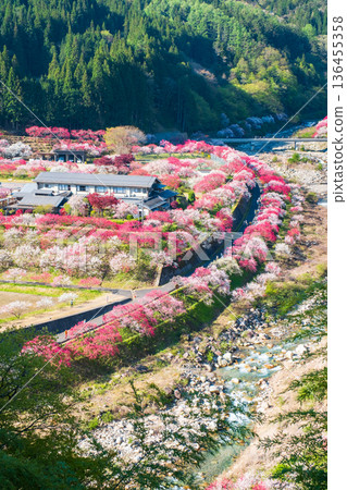 Hanamo no Sato 136455358