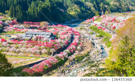 Hanamo no Sato Hanamo no Sato 136455360