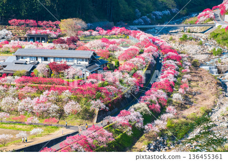 Hanamo no Sato 136455361