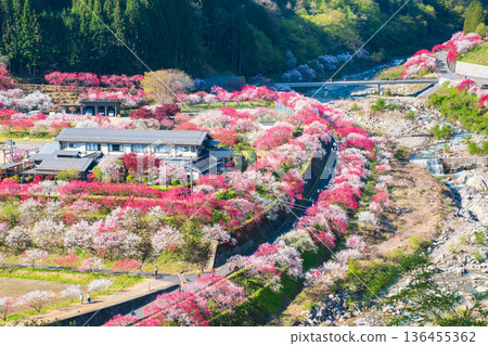 Hanamo no Sato 136455362