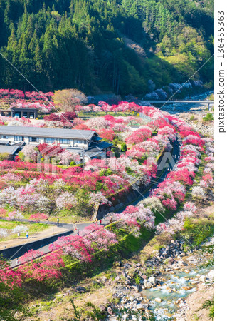 Hanamo no Sato 136455363