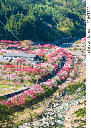 Hanamo no Sato 136455364