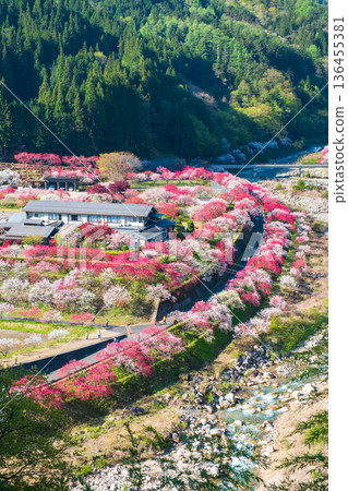 Hanamo no Sato 136455381