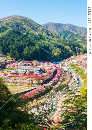 Hanamo no Sato 136455384