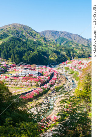 Hanamo no Sato 136455385