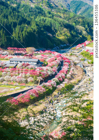 Hanamo no Sato Hanamo no Sato 136455386