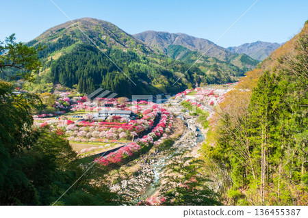 Hanamo no Sato 136455387