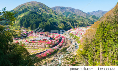 Hanamo no Sato 136455388