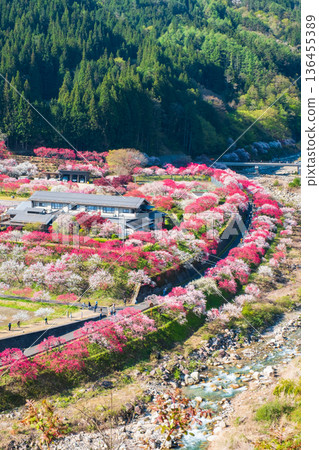 Hanamo no Sato 136455389