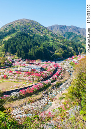 Hanamo no Sato 136455492