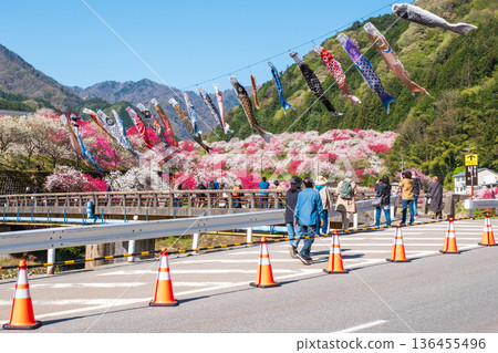 花桃之裡(花桃節) 花桃之裡(花桃節) 136455496
