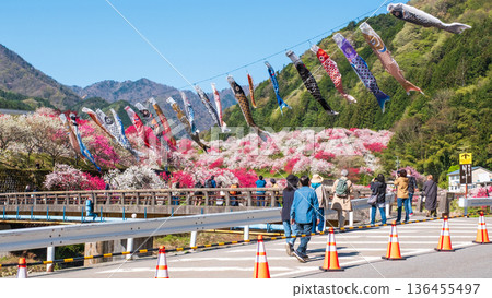 Hanamomo no Sato (Hanamomo Festival) 136455497