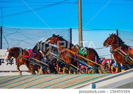 Winter scenery of Ban'ei Tokachi Racecourse in Obihiro, Hokkaido 136455569