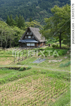 Aikura學園農業定居點 Aikura學園農業定居點 136455776