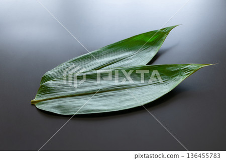 黑色背景上的竹葉 黑色背景上的竹葉 136455783
