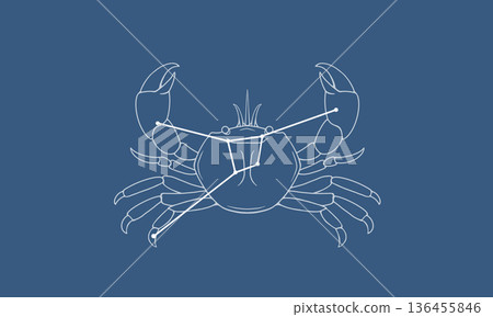 An illustration of the constellation Cancer floating on a navy background (a white crab and constellation lines) An illustration of the constellation Cancer floating on a navy background (a white crab and constellation lines) 136455846