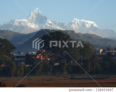 Early morning Machapuchare from Pokhara Early morning Machapuchare from Pokhara 136455847