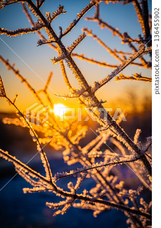北海道鶴井村，冬日清晨，音羽橋景色壯麗，同時伴隨狂風。 136455902