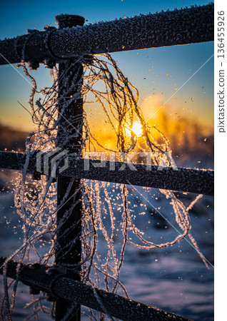 A fantastic view of Otowa Bridge and a wind storm in the early winter morning in Tsurui Village, Hokkaido A fantastic view of Otowa Bridge and a wind storm in the early winter morning in Tsurui Village, Hokkaido 136455926