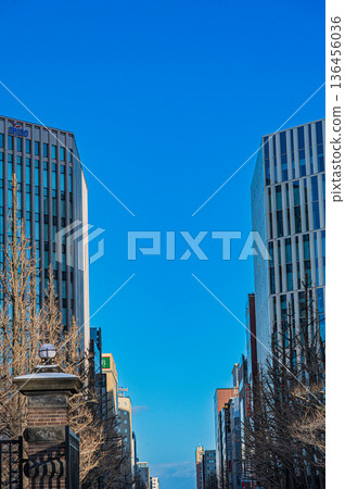 北海道札幌市原北海道政府辦公大樓（紅磚樓）的冬季景色 136456036