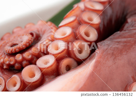Close-up of steamed octopus legs Close-up of steamed octopus legs 136456132